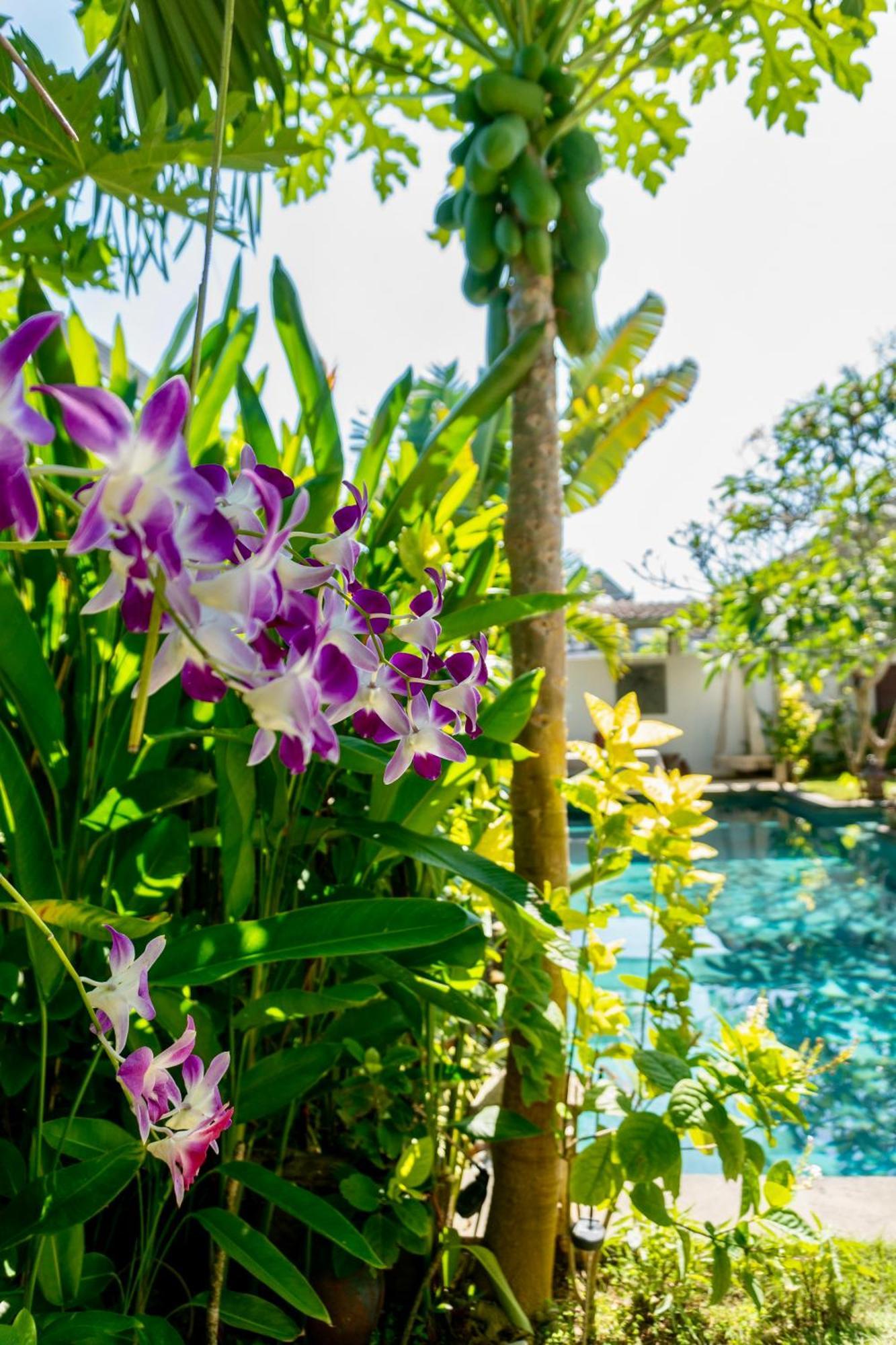 Damai Uluwatu Hotel Buitenkant foto
